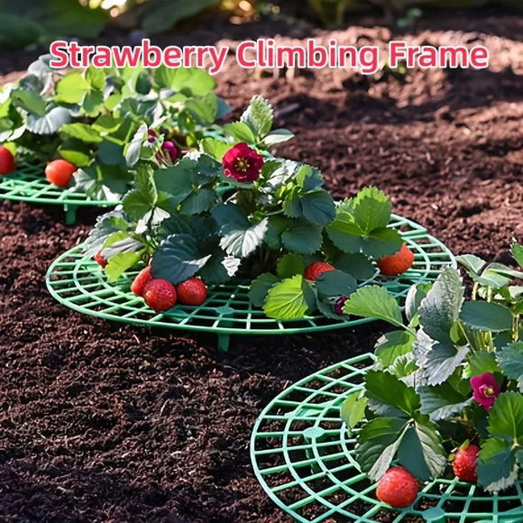 5pcs Plant Support Strawberry Rack