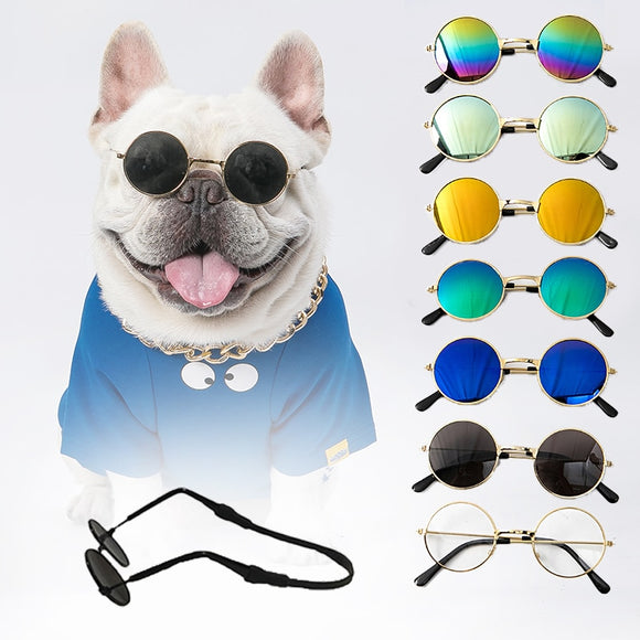 Cool Pet Harness Sunglasses