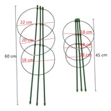 Climbing Vine Trellis