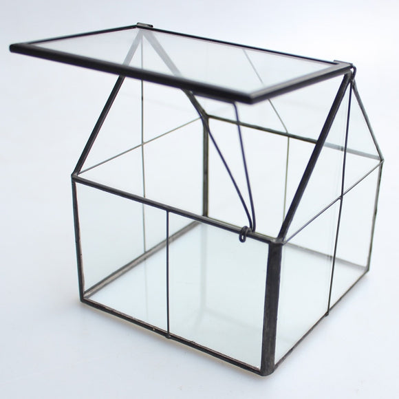 Modern Glass Terrarium