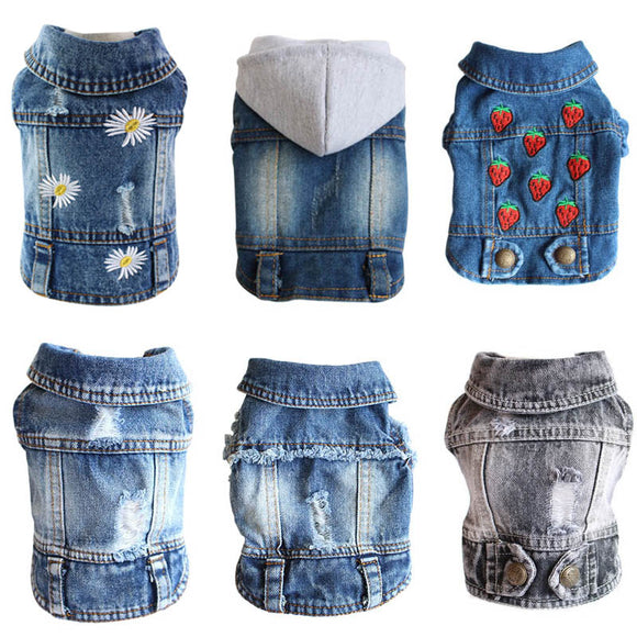 Cute Pet Denim Jacket Outfit