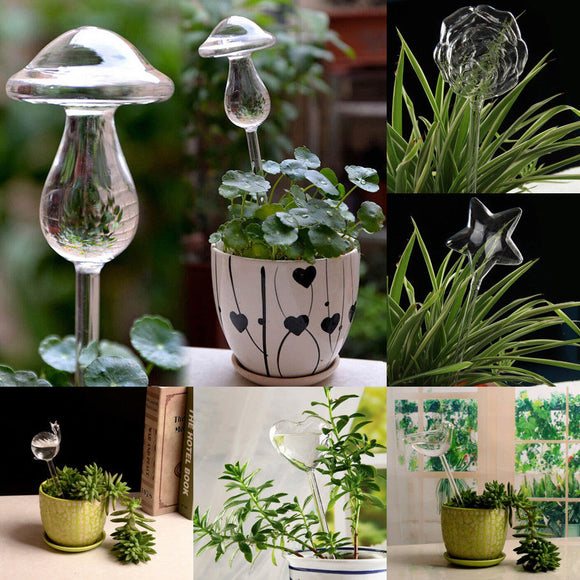 6 Types Glass Plant Automatic Self Watering Device