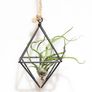 Geometric Wrought Iron Hanging Planters