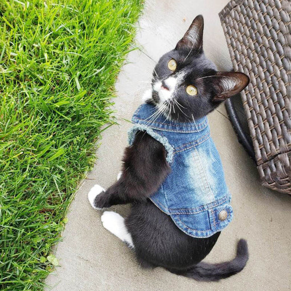 Lovely Pet Denim Jacket