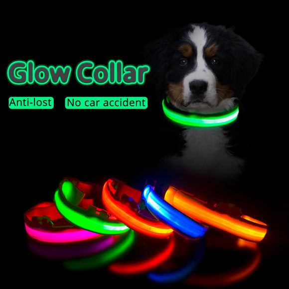 USB Charging Led Dog Collar